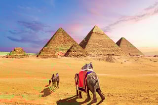 Elephants And Camels In The Desert Near The Pyramids Of Giza Egypt