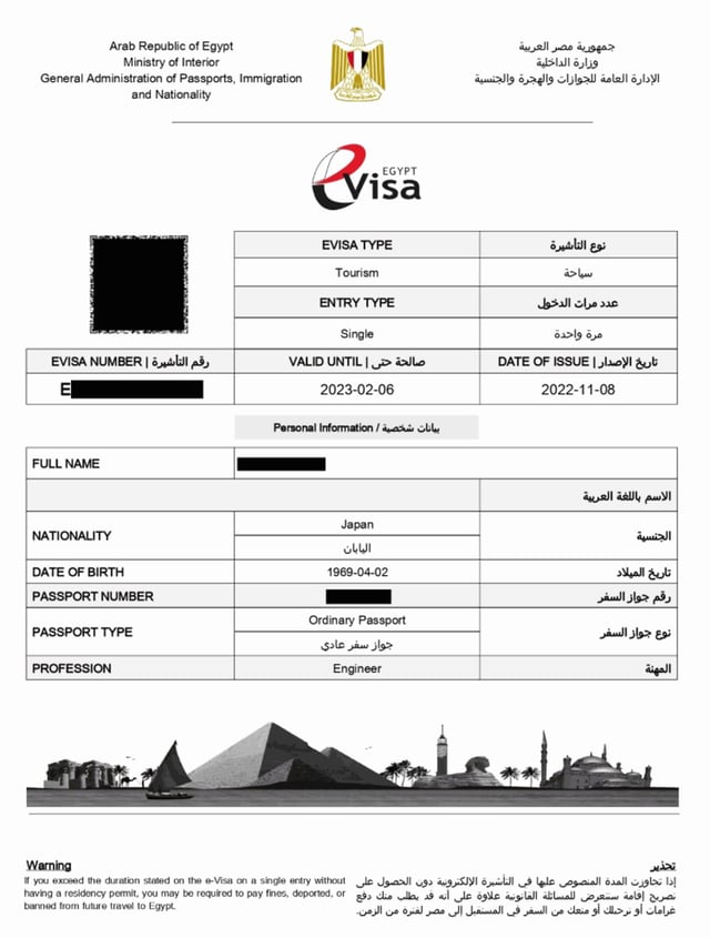 Electronic visa approval Egypt