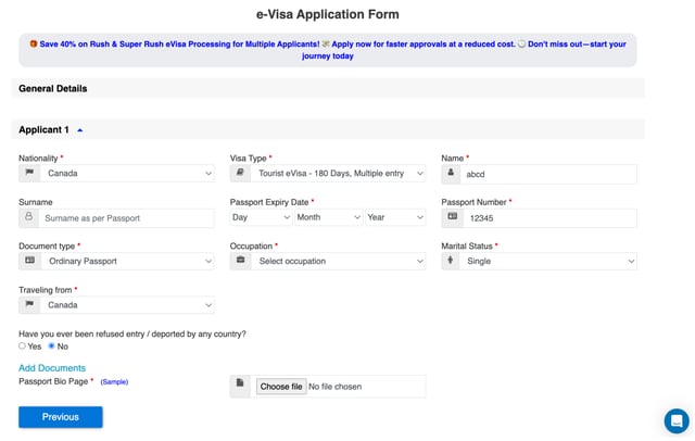 Egypt Evisa Main Application Form
