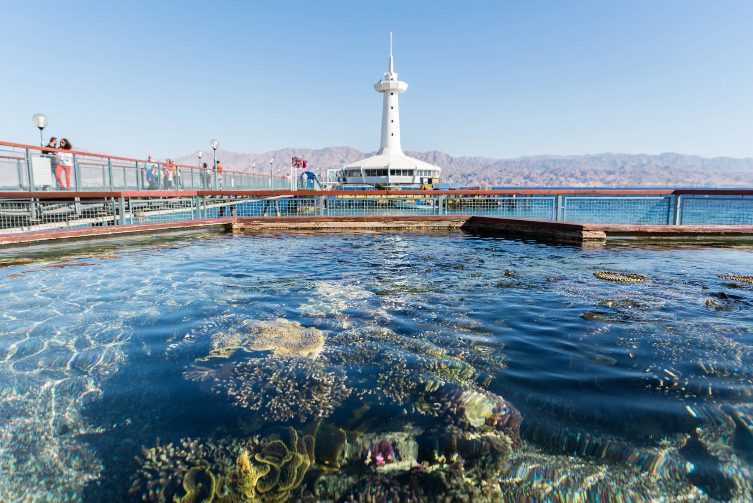 at coral world underwater observatory in eilat israel