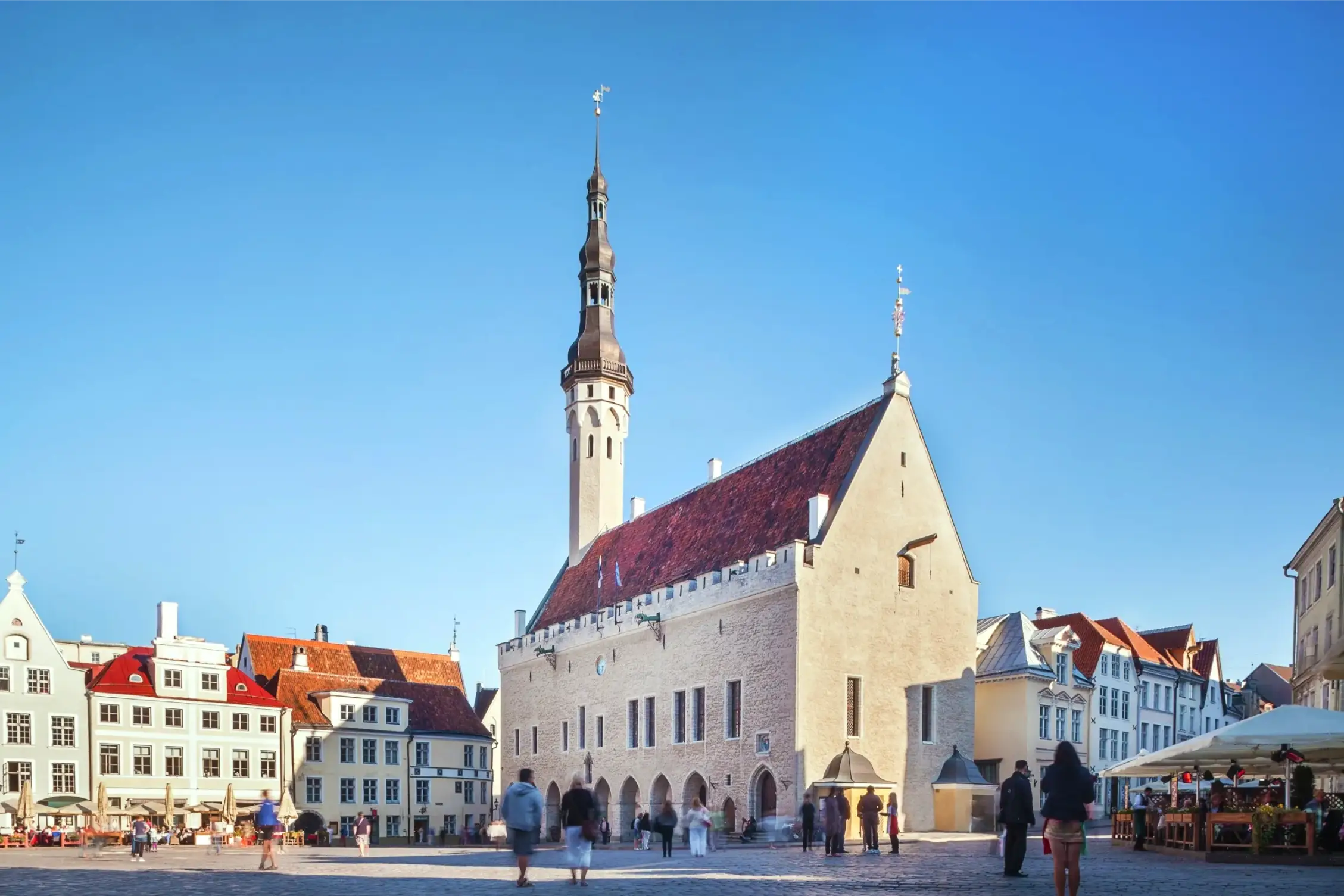 gothic town hall in tallin estonia