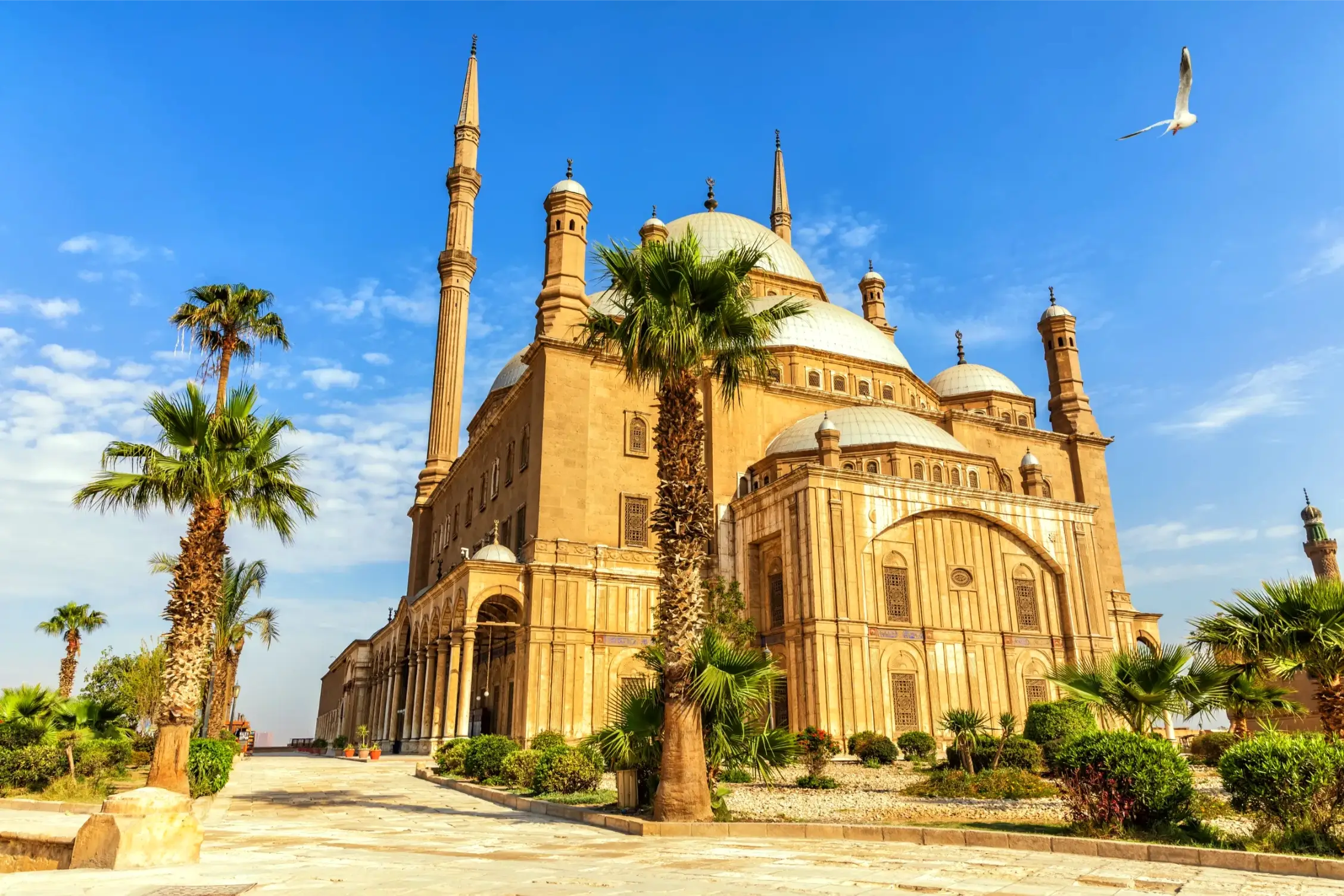 mosque of muhammad ali pasha in cairo egypt