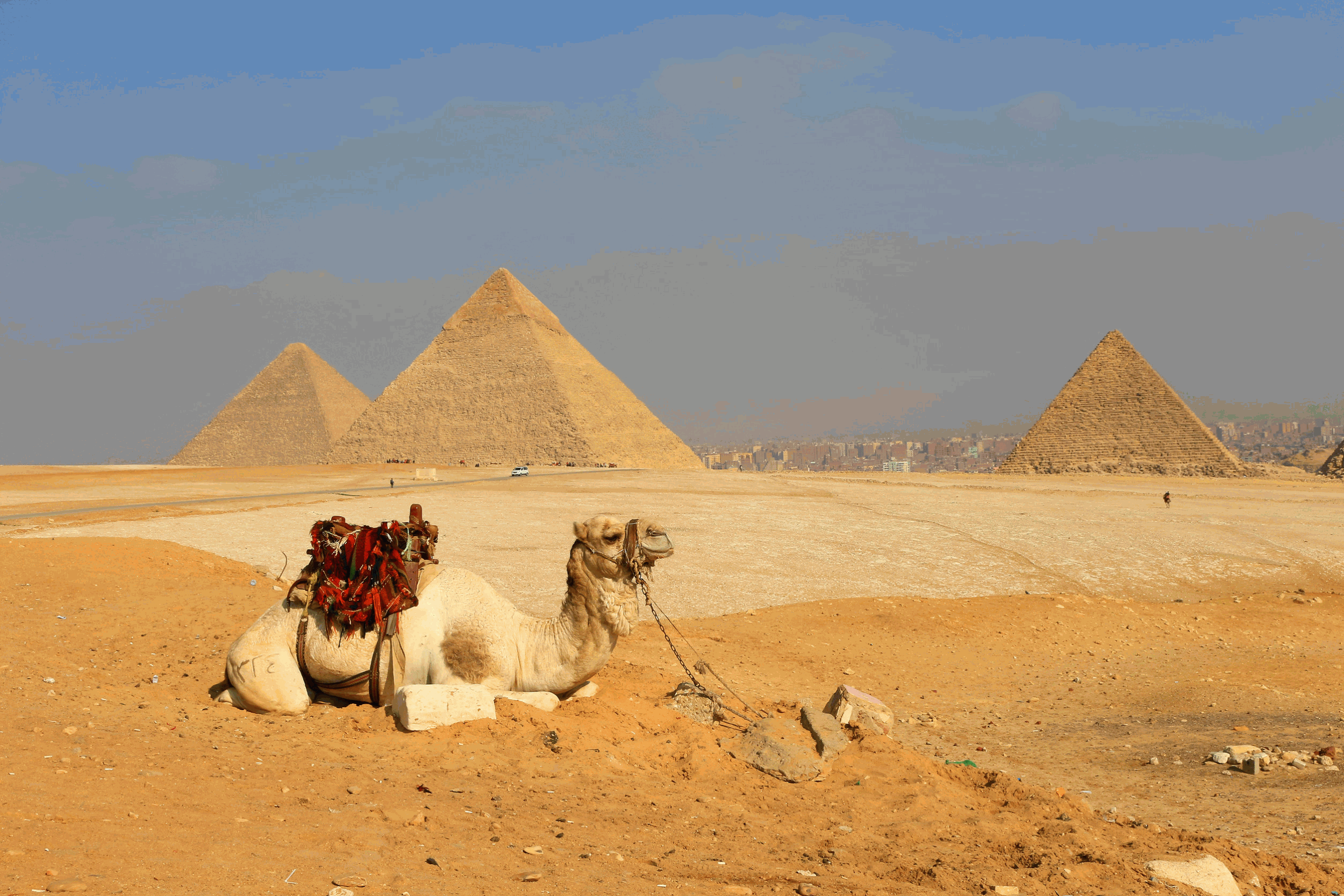 Informations de sécurité pour 2026 lors de vos voyages en Égypte
