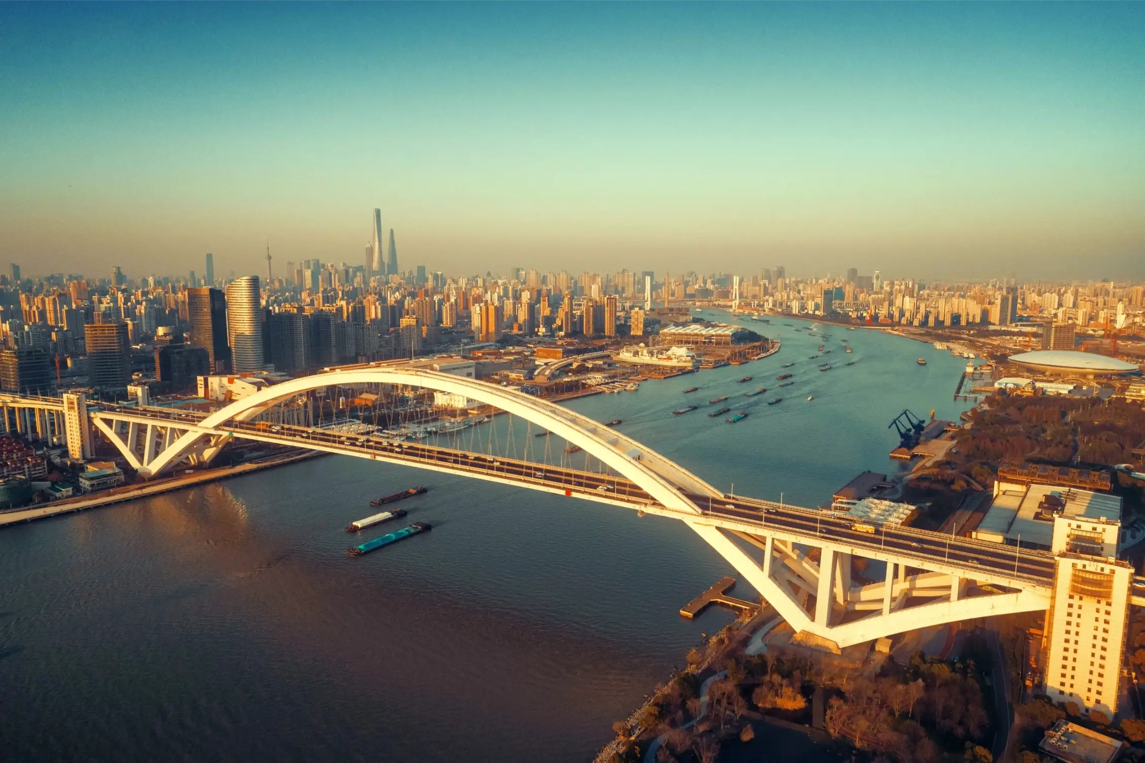 shanghai lupu bridge