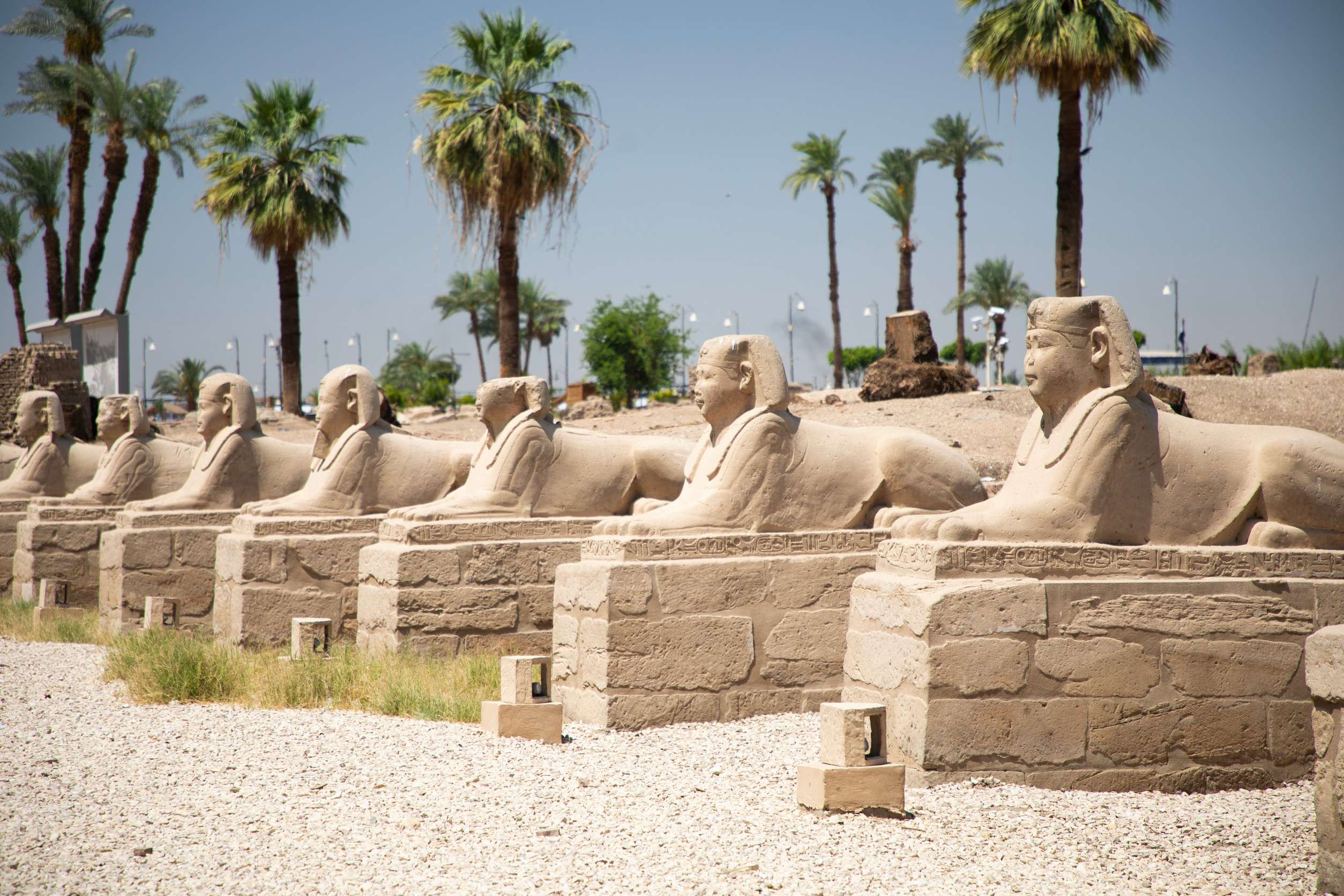 Скульптуры сфинксов в древнем храме Луксора