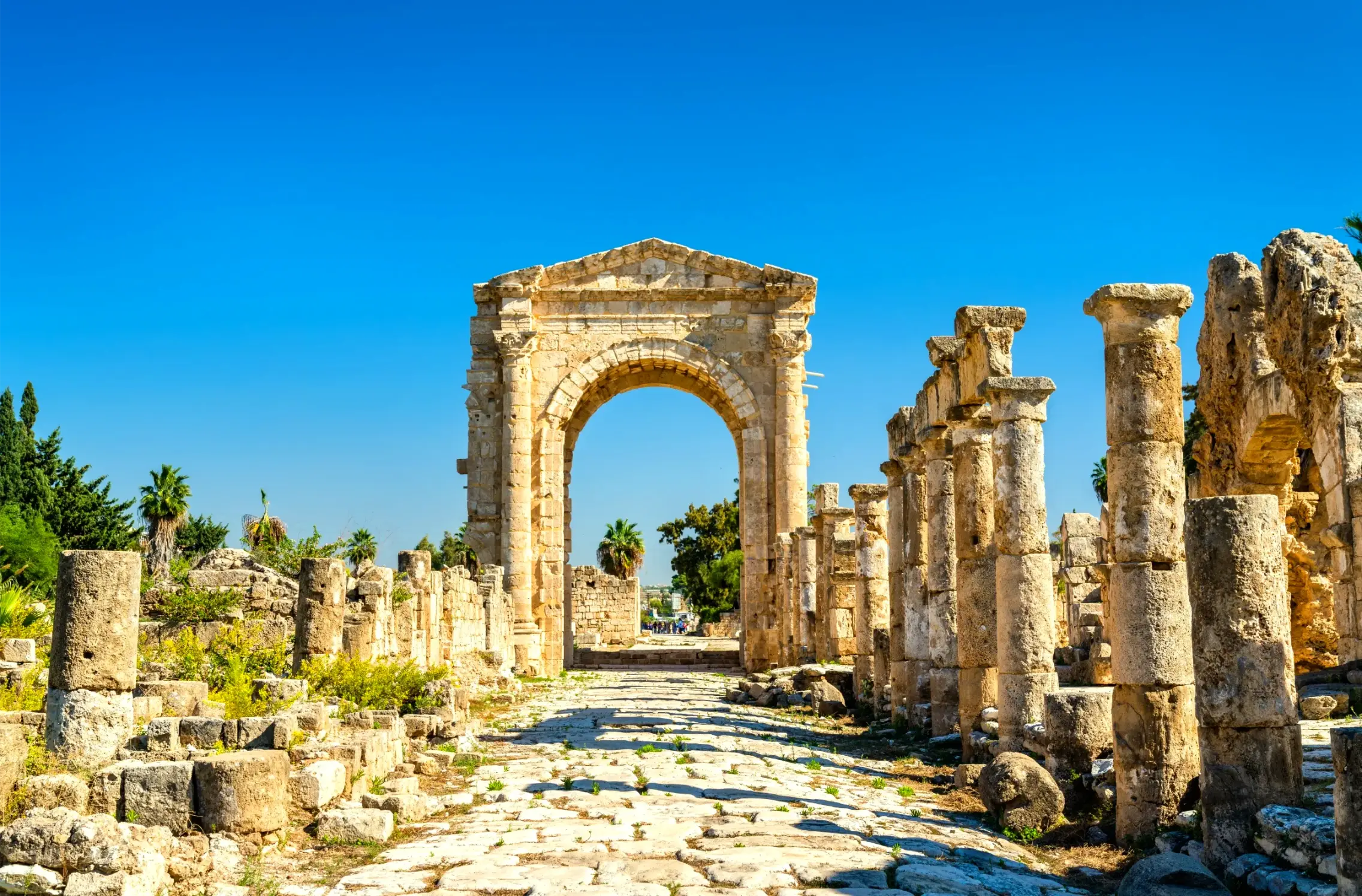 the al bass tyre necropolis in lebanon