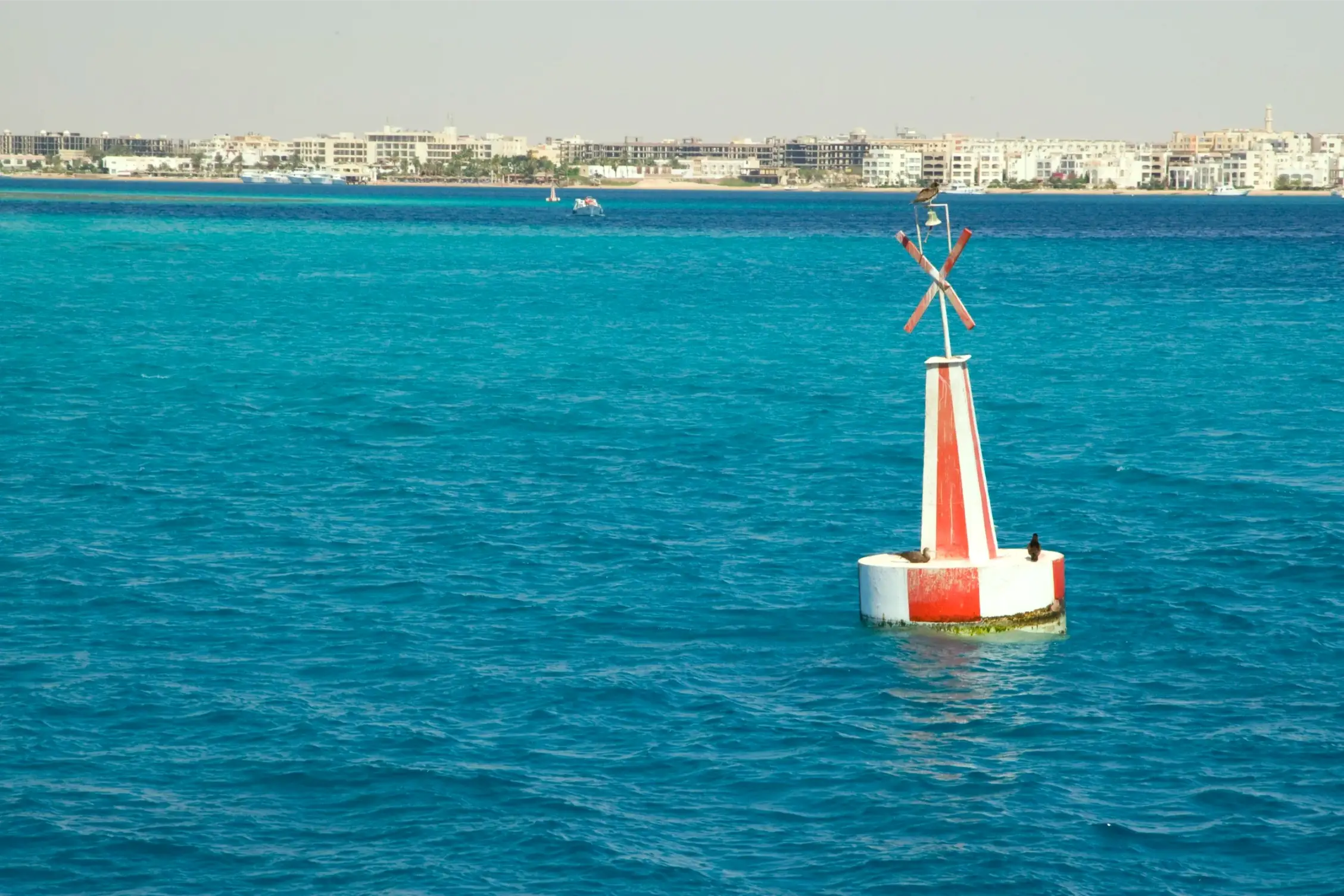 the beautiful coral reef monument in hurghada egypt